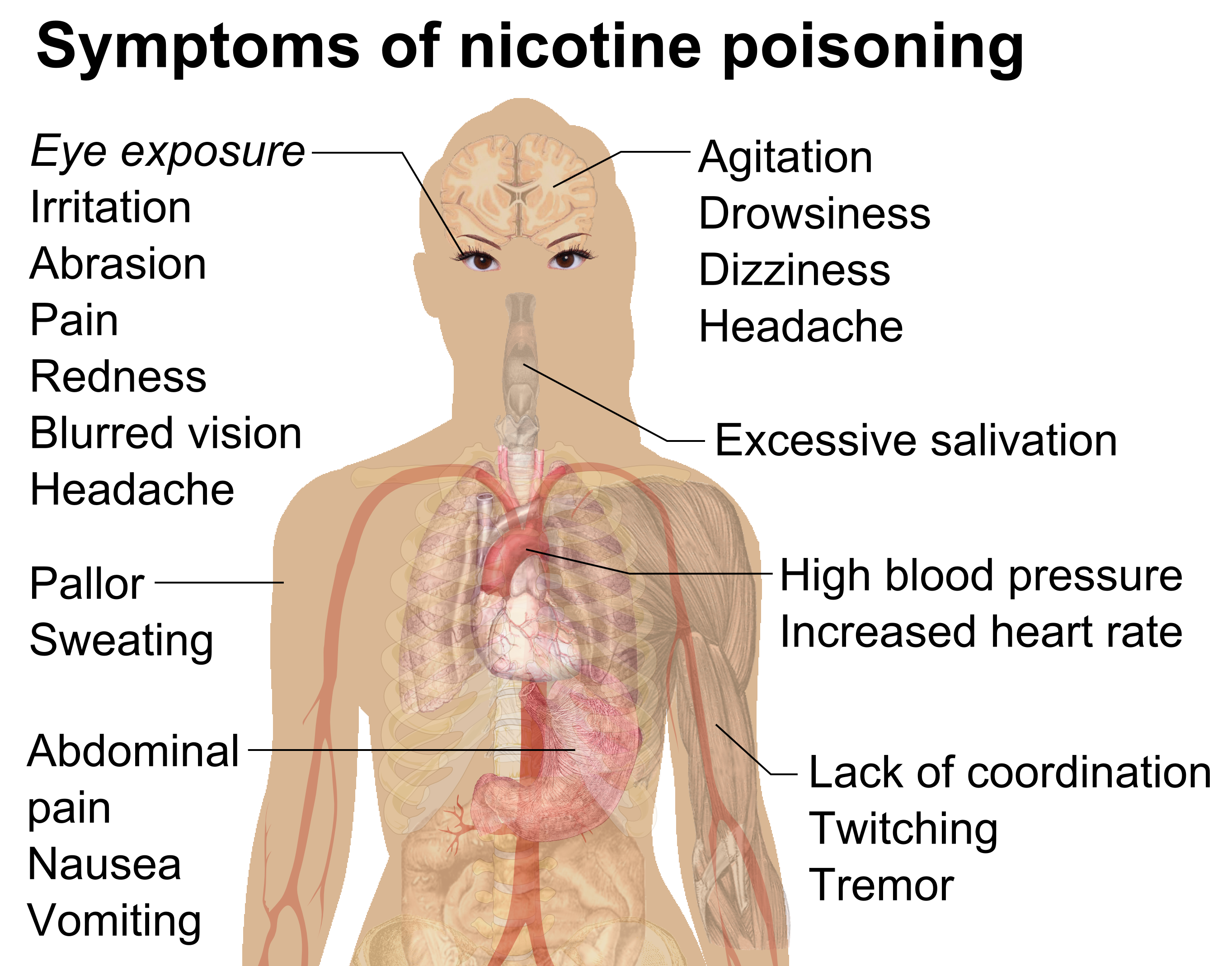 File:Symptoms of nicotine poisoning.png