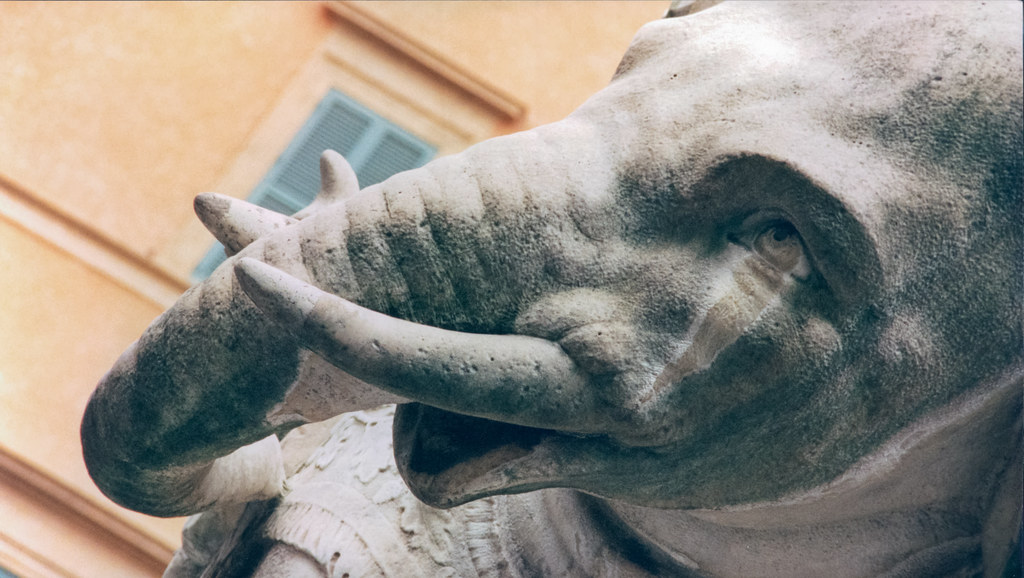 Never Forgets (Bernini's Elephant), Rome [Film Scan]
