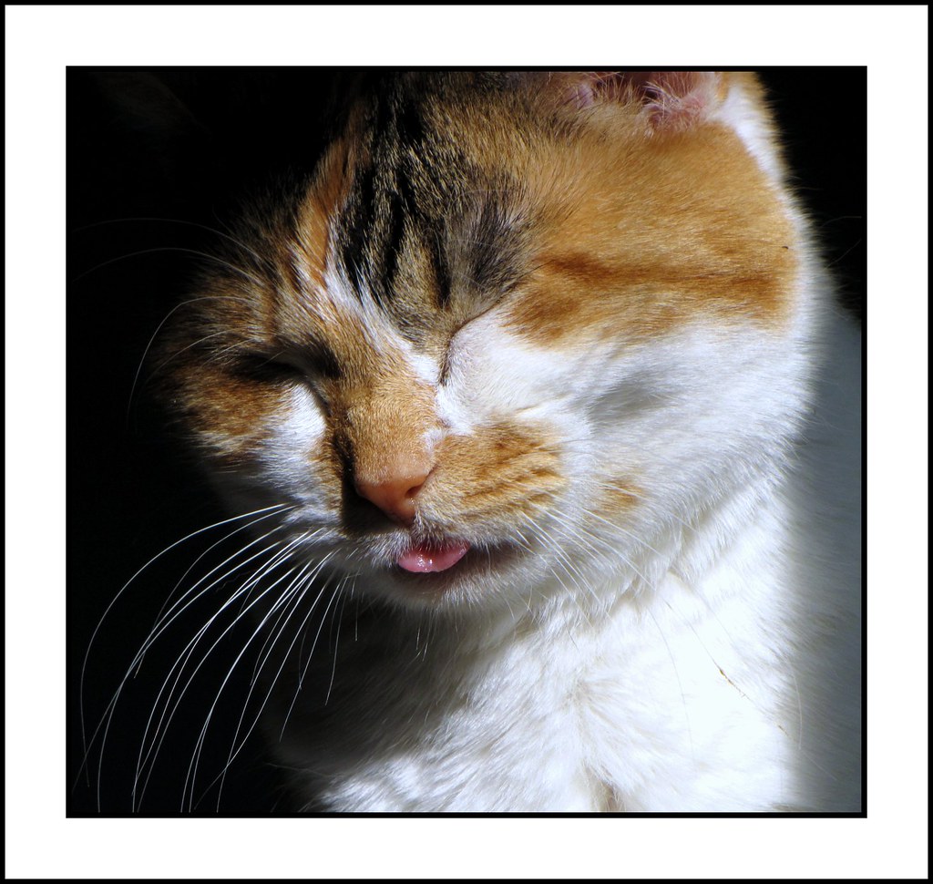 Being Sick Stinks !